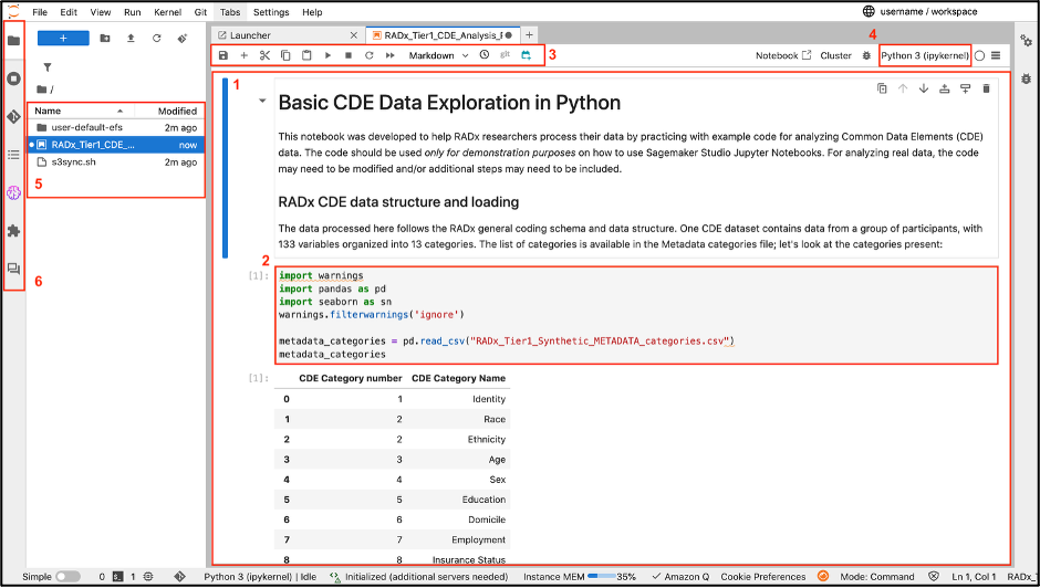 Figure 1: Labeled Jupyter Notebook Interface