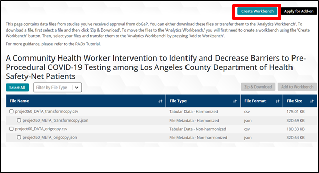 Figure 5: Create Workbench Button