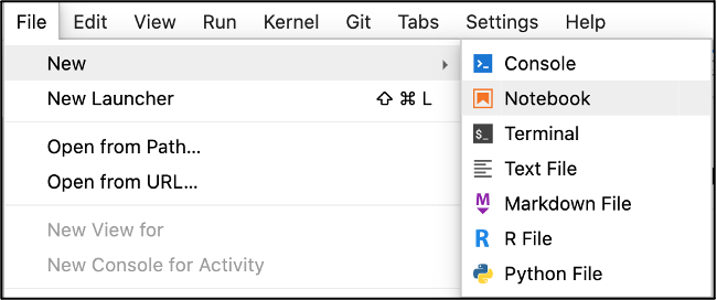 Figure 6: Launch Notebook from File Menu