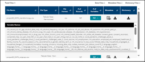 Figure 7: Variables Information in the Data Files Table